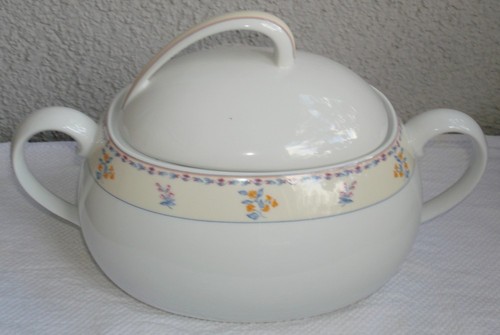 Terrine suppenterrine mit - terrine,